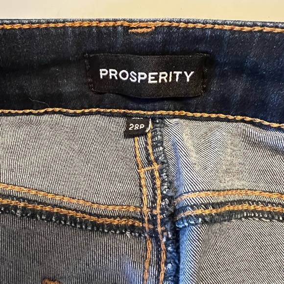 Prosperity Distressed 28 P Stretch 23” Inseam 9” Rise 5” W Hem - Picture 5 of 5